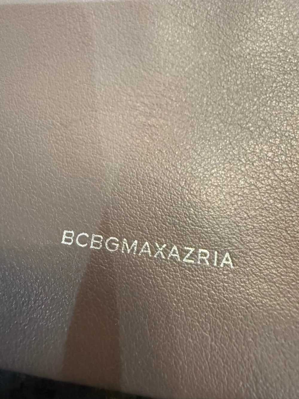 BCBGMaxAzria Metallic Silver Chain Crossbody Bag